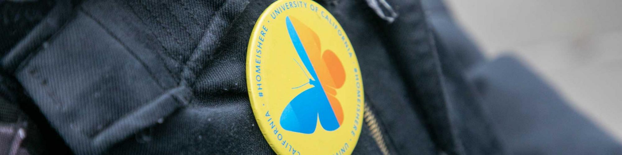 UC Home is Healing button - DACA SCOTUS update