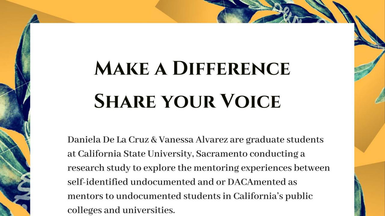 UndocuMentors