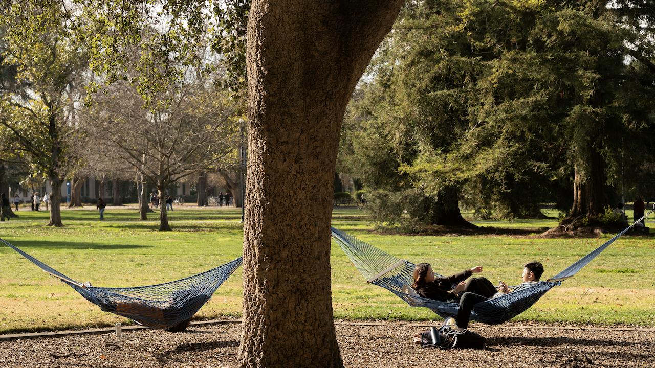 Students lounging in hammocks.