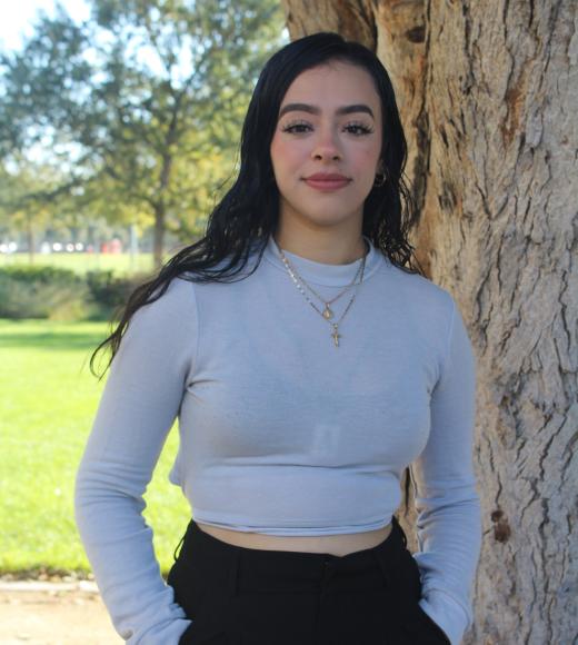 Daisy standing in front of a tree trunk. Greenery background.