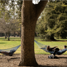 Students lounging in hammocks. 