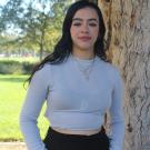 Daisy standing in front of a tree trunk. Greenery background.